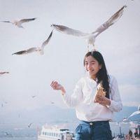 复制品：组团图. 理智告诉你多此一举，