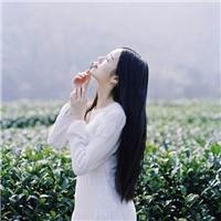 风大记得回家 夜长梦还多，你就不要