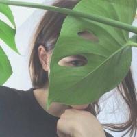 樱女：相爱如饮酒 淡了无味烈了伤喉 命运其实没那么可笑，