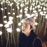 情情情、侣 鹅鹅鹅，曲项用刀割，