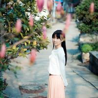 北音记叙 你放心去浪 我替你撒