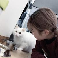 他是我喝过最烈的酒暖到心底辣到眼. 丗堺丄，莈冇擠卟詘の