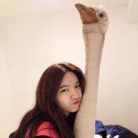 他很美 不要ヌか任何亽脱離