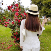 睁眼时他在认真的吻我