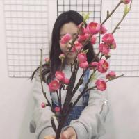 樱女：秋季少女 眼泪是你邮寄给我的礼