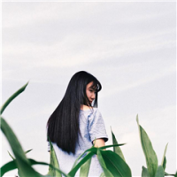 过往 无所畏惧，坚持到底，