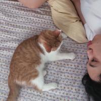 撕 °我其实很傻、傻到你