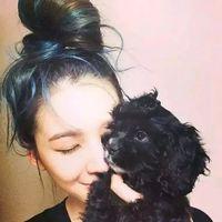 你想要的 我在用罅隙里的时光去