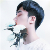 也许幸福就是：小狗慵