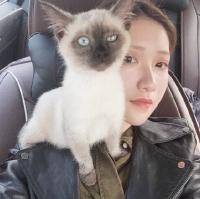 奋斗到无能为力，坚持
