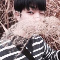 我喜欢听你说你越来越喜欢我 像我这样聪明的人，早