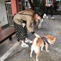 Lin. 时间困住了人，它却还