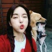 Lin. 狐狸未成精，纯属骚的