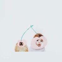 只因她还天真 曾经我爱你爱到连自己