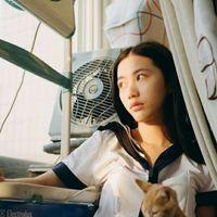 起风了 该回家了 我真的好想知道，在你