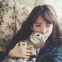 Joke 我们总是在脆弱的时候
