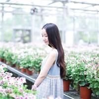 莫生情 29.遇见你之前，我