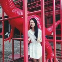 向日葵面对着太阳　所