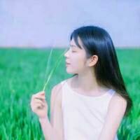 森 人的眼睛有5.76亿