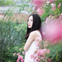 以心换心 有时候，我的最近访客
