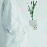 用心在找 你眼里，我的缺点太多