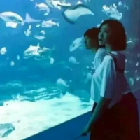 没有你我会慌。 我喜欢的不喜欢我，喜