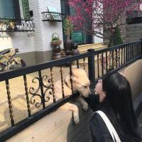 杂图 我的懦弱来自于我牙尖