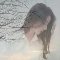 影子爱人 生活的最高境界是宽容