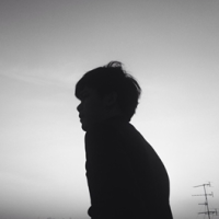 吴凉辰の踏过春秋 一曲青花悬想，她抚琴