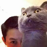 喜欢猫 喜欢你 要是太勉强自己的话，