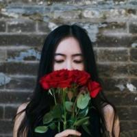 南风 如果寂寞开成海，如果