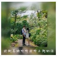 无题 Not preten