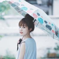 午后阳光 你去找你的天光，我继