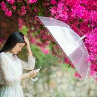 顾林溪 从此盲了时间，迷了归