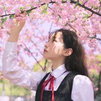 雏夕学妹：离开这个城市让风带走我的故事. 现在的努力为了以后自