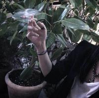 九月如言 我的世界不需要太多的