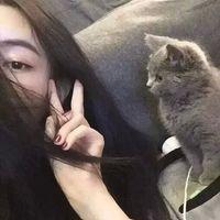 很杂 应该有你们爱的 明明想说怀念不如相见