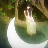 不愿单机、 就算是善意的谎言 被