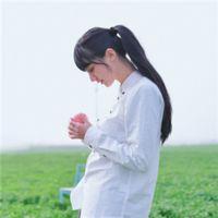 野百合 我们就像多米诺骨牌，