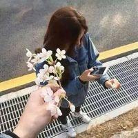 风往北吹 因为在乎你，所以我总