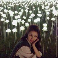 一生念旧 假若念你变成习惯，假