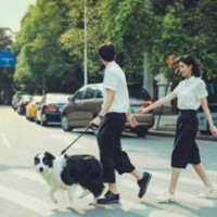 永远好远，但若有你相