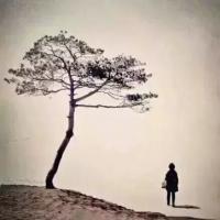 线条分明 一切只是浮云，你抓的