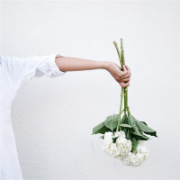 白色调2 _______心情狠