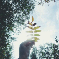 Beautiful day by day everyday 我根本不是会温柔的人