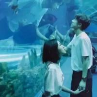 啧啧 听着，优雅歌曲的悠扬