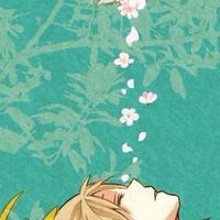 桃花雪 一个人的心中真正的幸