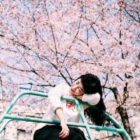 婊: 一生一个客人. 我们曾经爱过的人,都