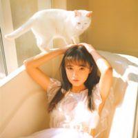 猫与少女 人的一生有很多东西是