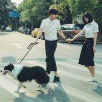 欧美情侣 原谅是容易的，再次信